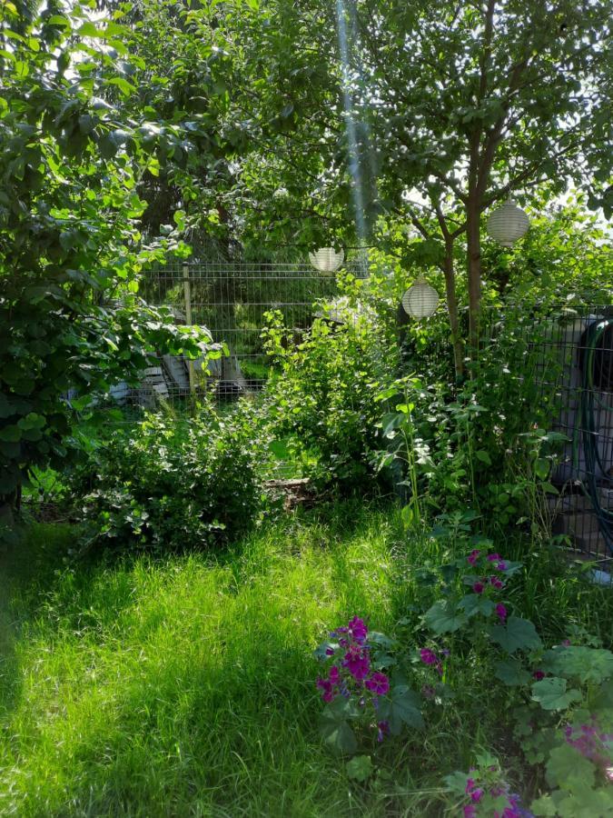 Gaestewohnung Am Thuemmlitzwald Grimma Εξωτερικό φωτογραφία