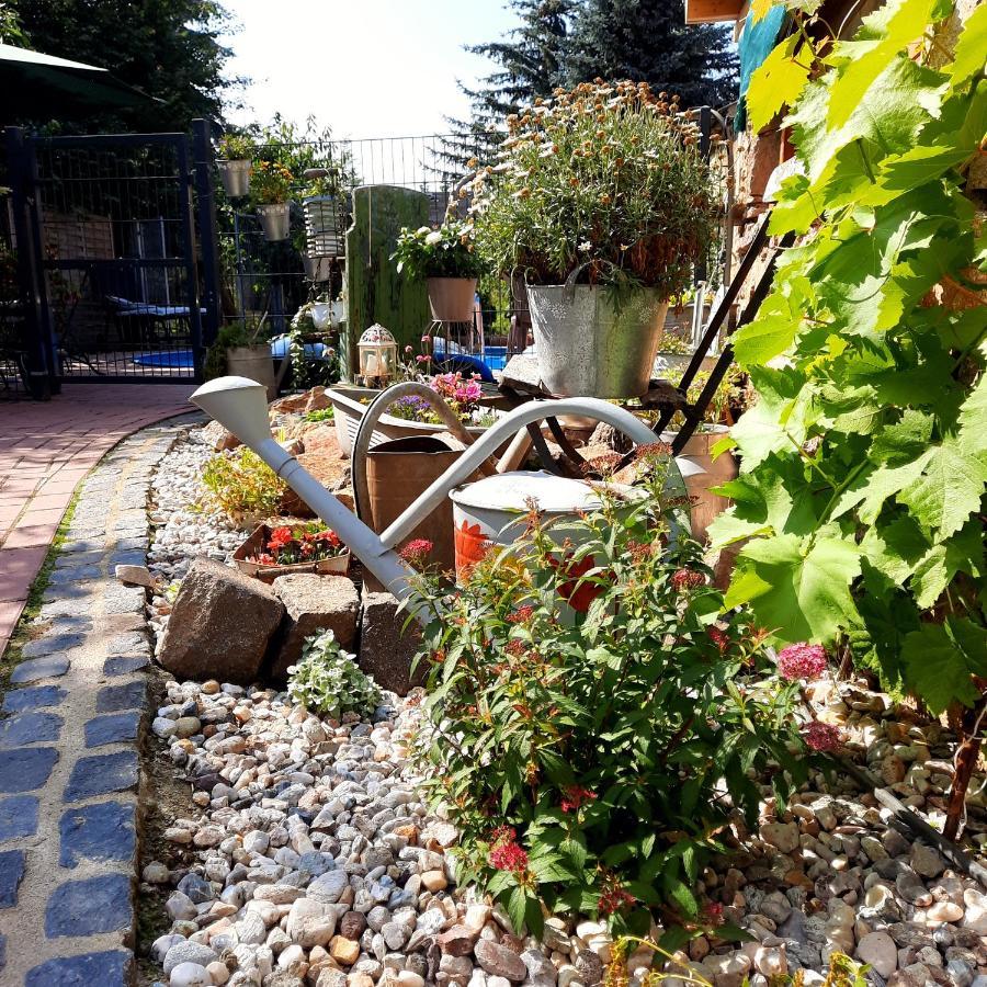 Gaestewohnung Am Thuemmlitzwald Grimma Εξωτερικό φωτογραφία